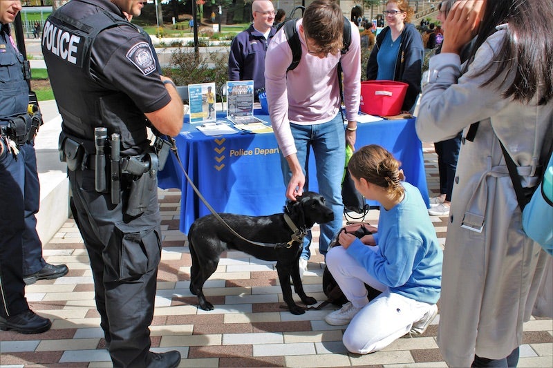 student petting a dog