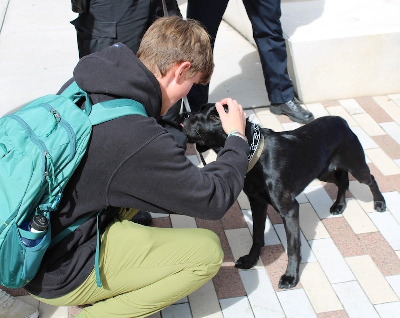 student petting a dog