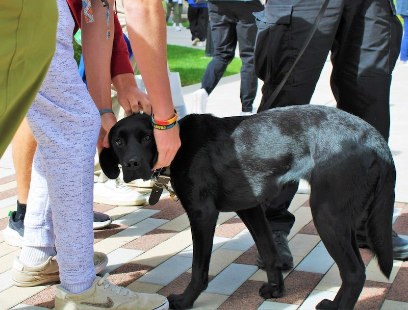 student petting a dog