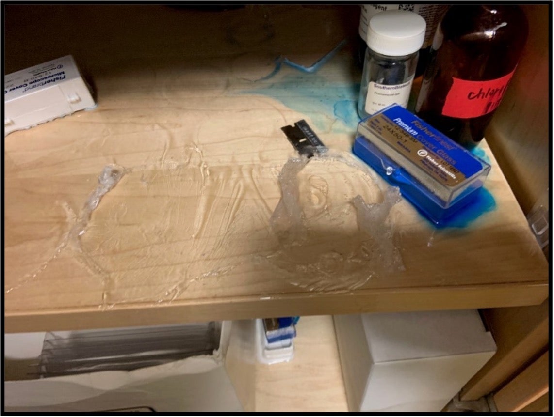 Two plastic containers on a counter with other chemicals. Blue lid on left-hand container reads “xylene” and right-hand container reads “xylene #2.”