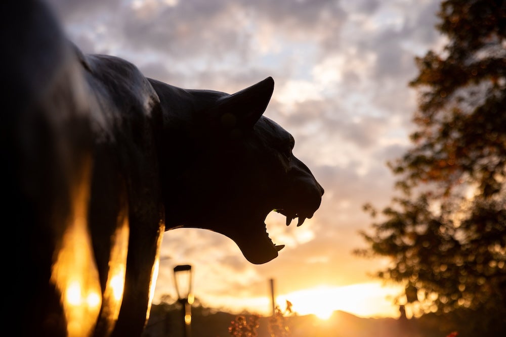 Panther statue during sunset