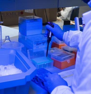 Person in a lab coat and blue lab gloves handling a pipette for a lab experiment.