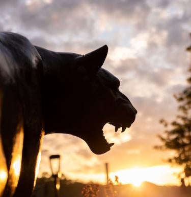 panther statue